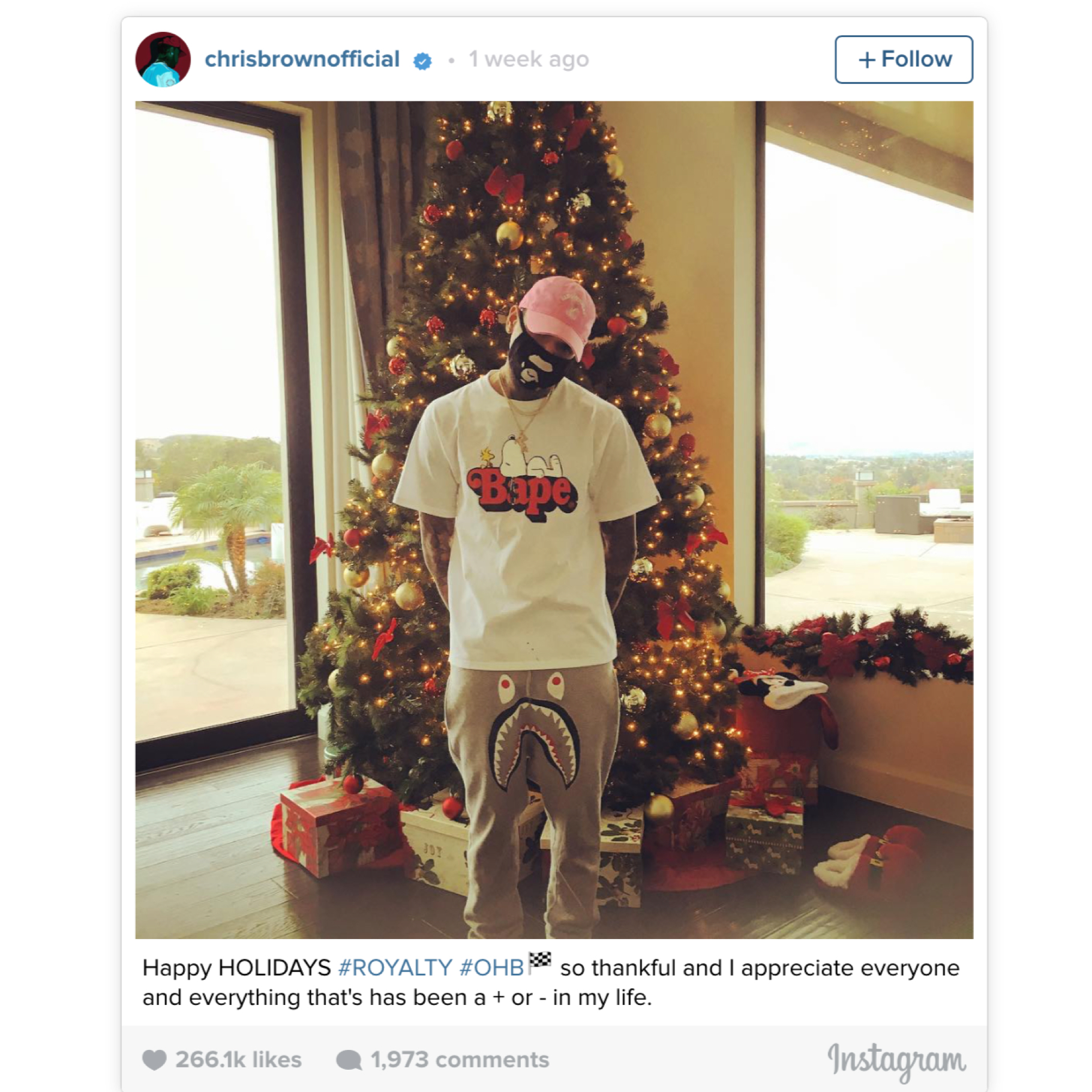 Chris Brown on brand BAPE ensemble
